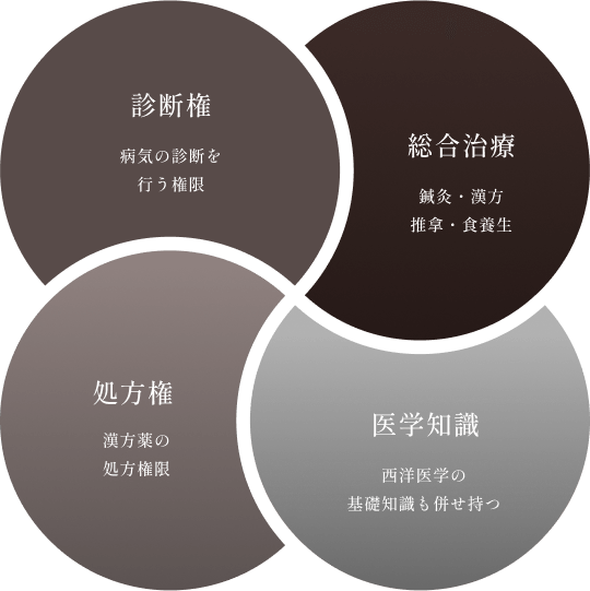 診断権・処方権・医学知識・総合治療を統合した中医学の特徴