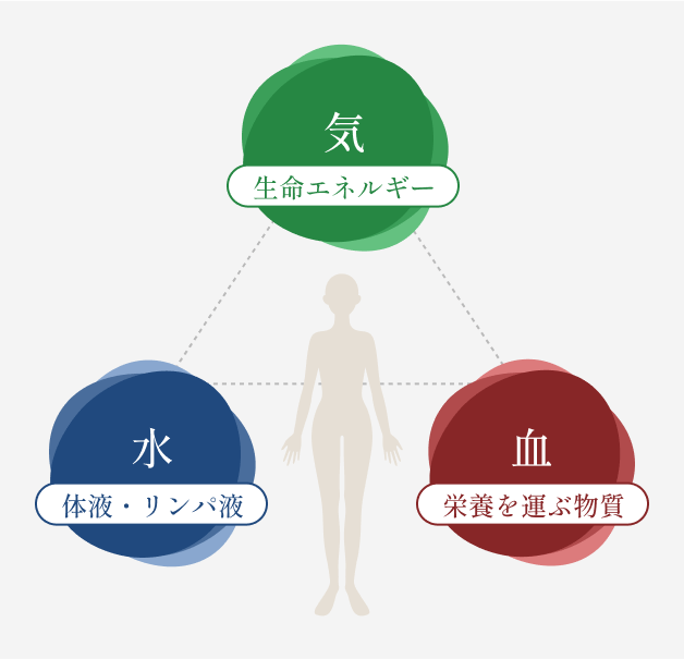 気血水理論 - 気（生命エネルギー）・血（栄養を運ぶ物質）・水（体液・リンパ液）。